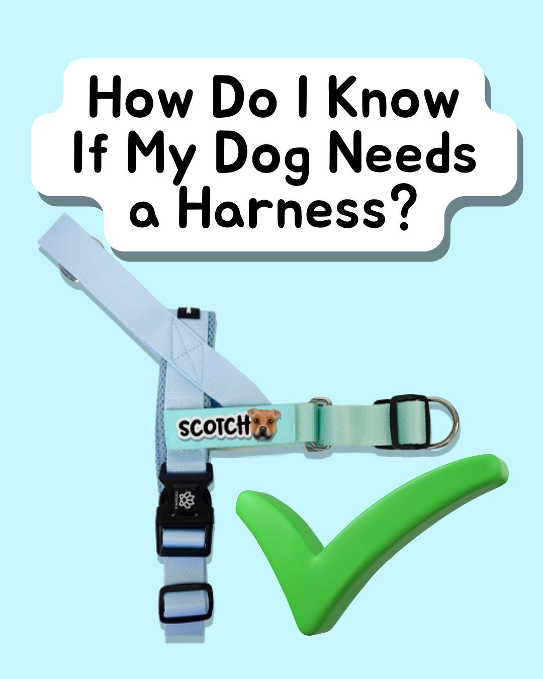 How Do I Know If My Dog Needs a Harness?
