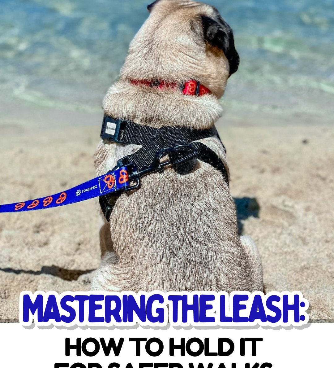 Mastering the Leash: How to Hold It for Safer Walks