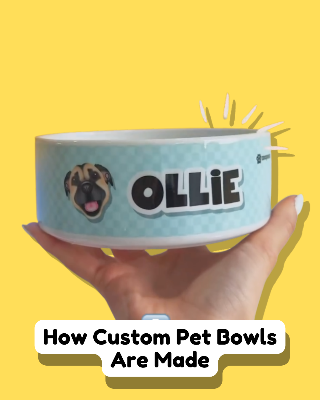 How Custom Pet Bowls Are Made (Behind the Scenes)