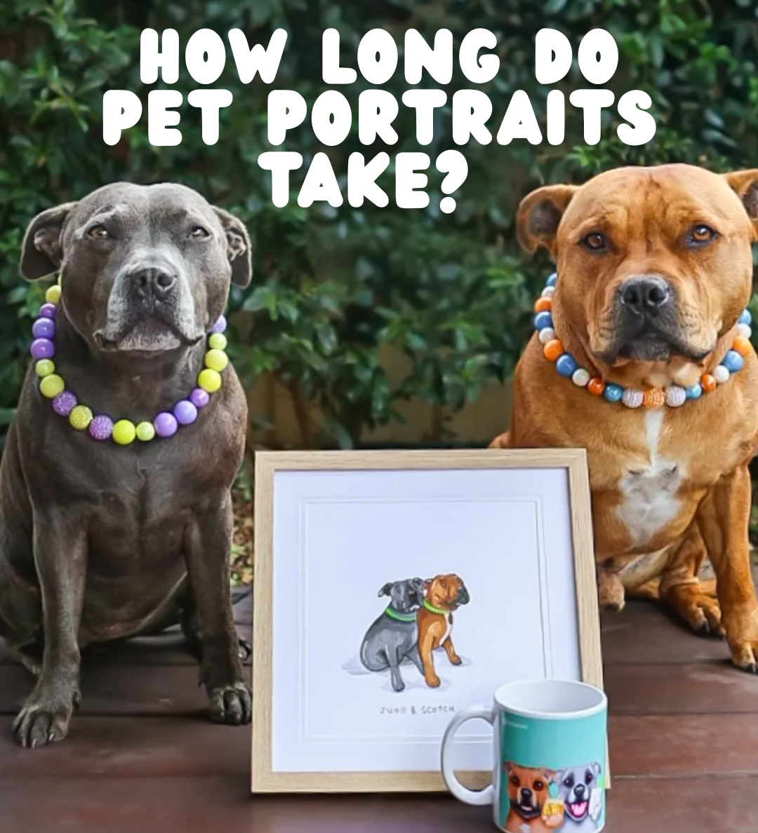 How Long Do Pet Portraits Take?
