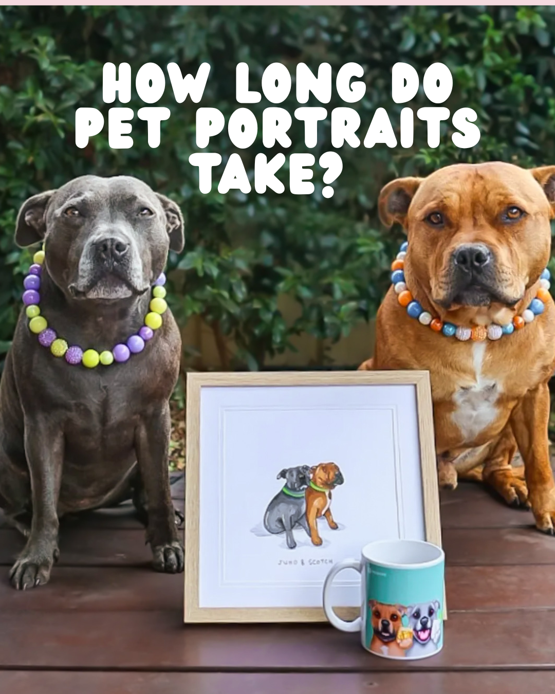 How Long Do Pet Portraits Take?