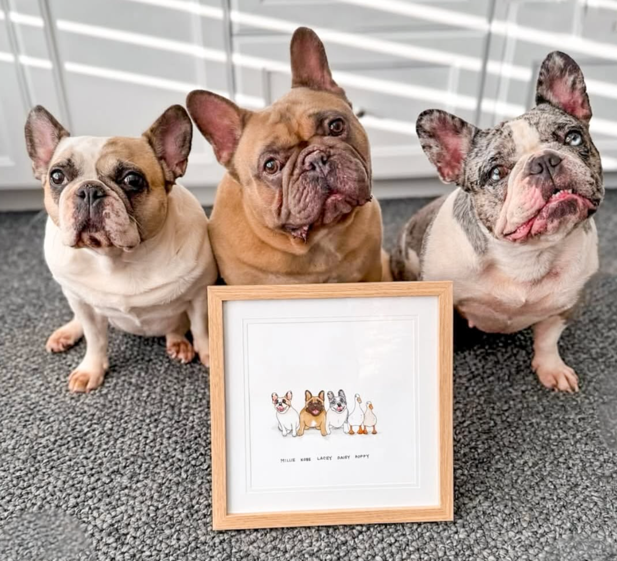 pet portrait frame