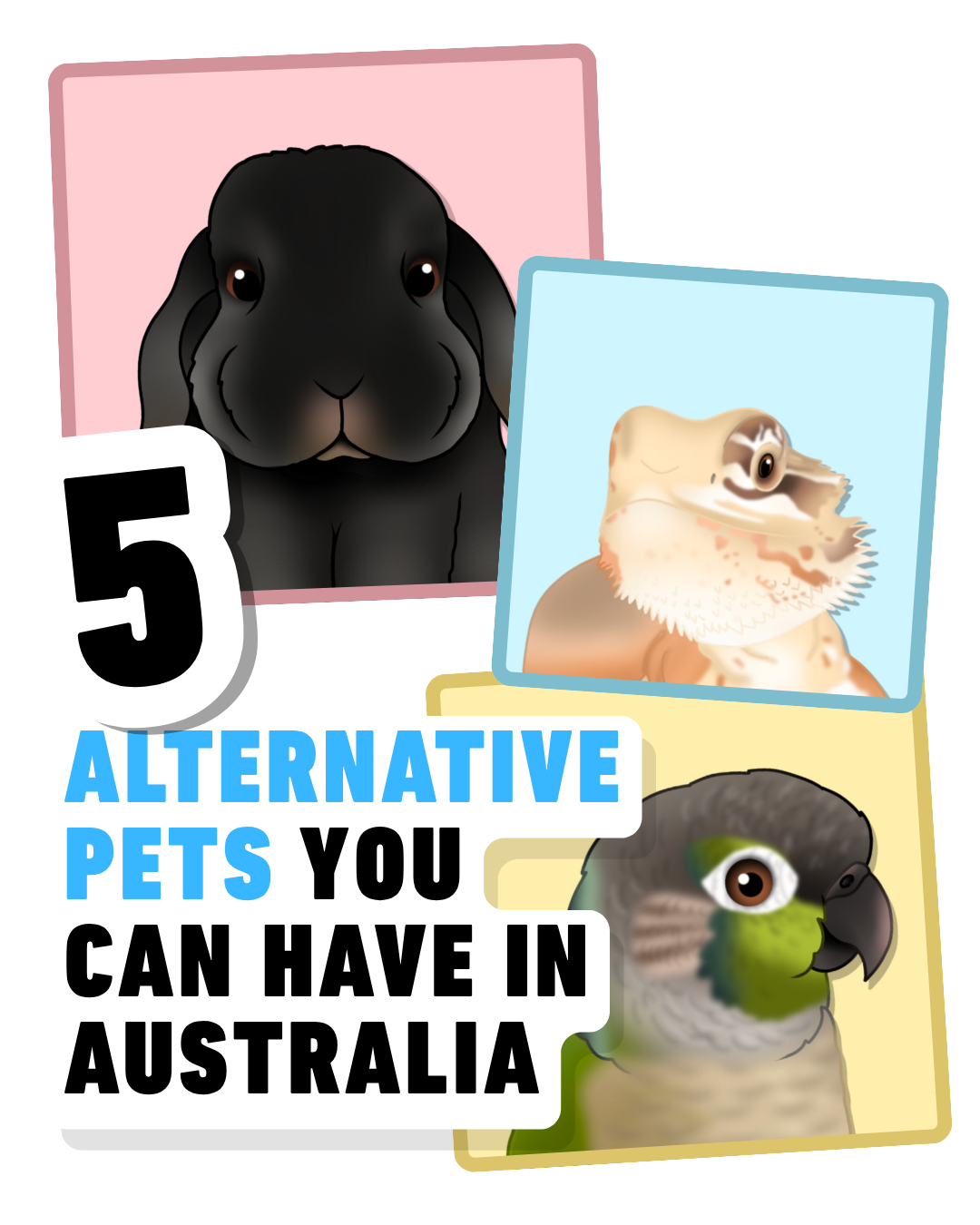 5 Alternative Pets you can have in Australia