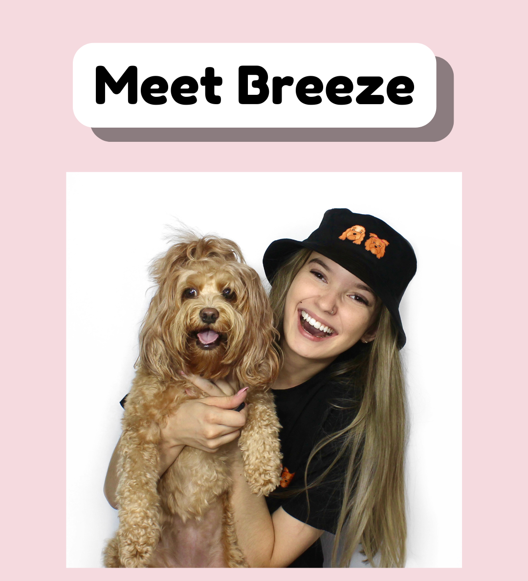 Meet the Artist Behind Zoopeez | Pet Portrait Australia with Breeze
