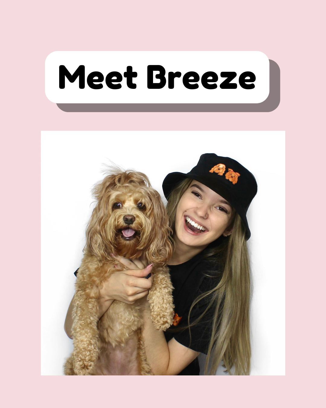 Meet the Artist Behind Zoopeez | Pet Portrait Australia with Breeze