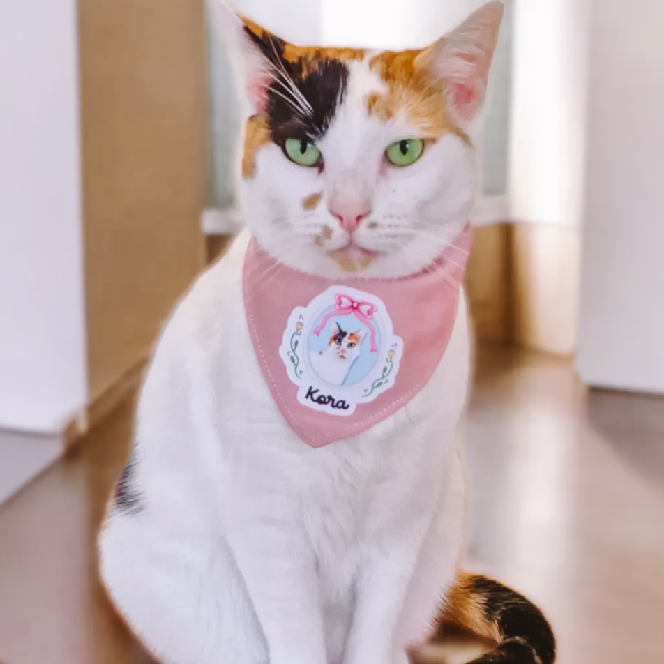 CAT WEAR - Zoopeez