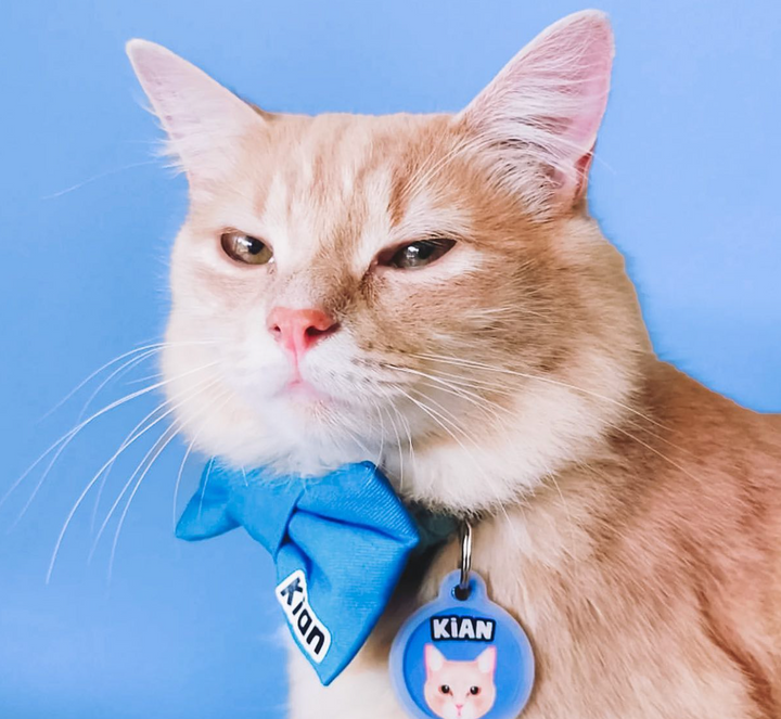 CAT WEAR