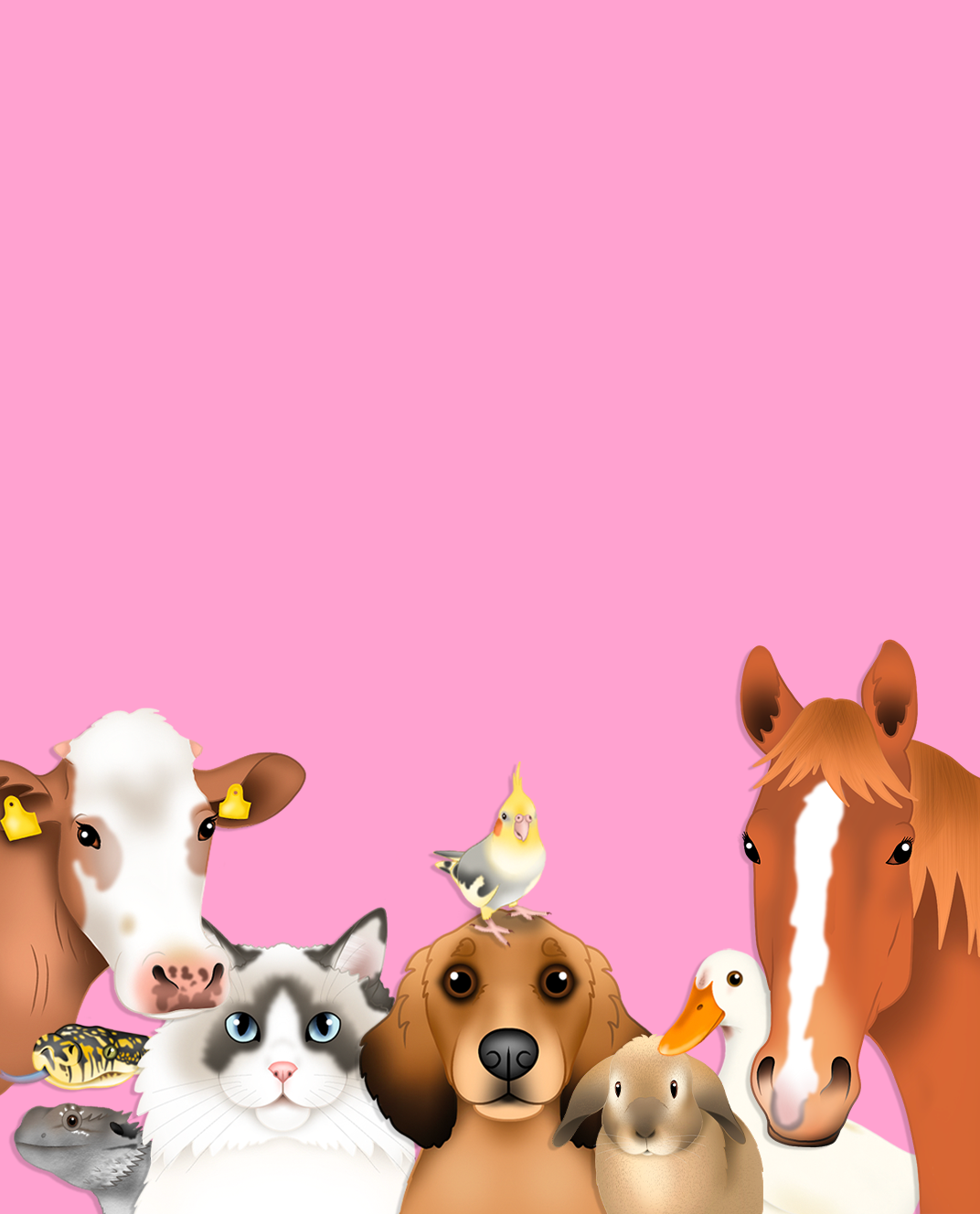 PET_DAY_MOBILE.png