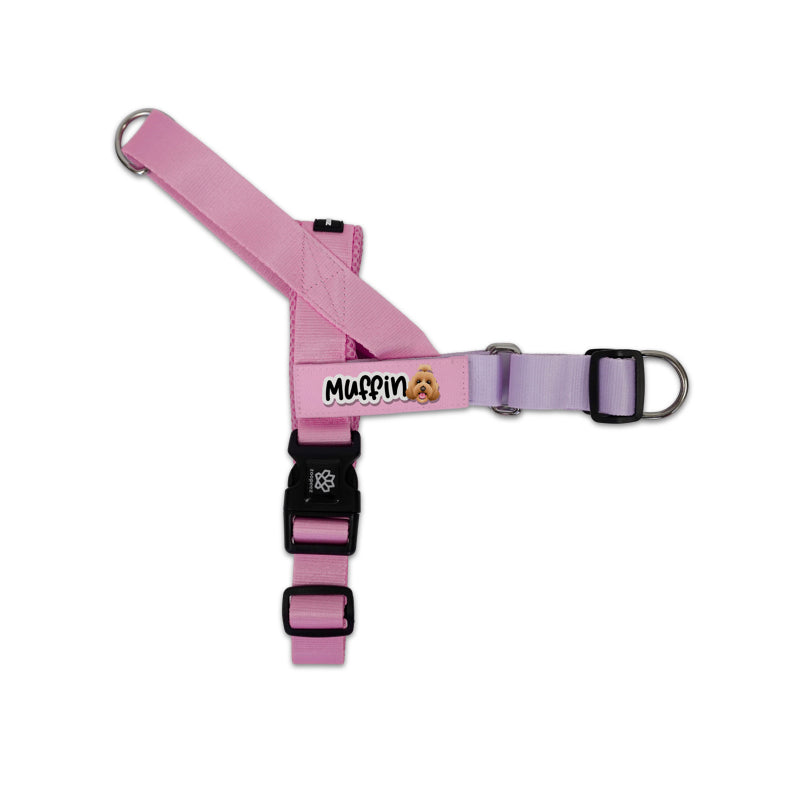 Personalised Dog Harness - No Pull
