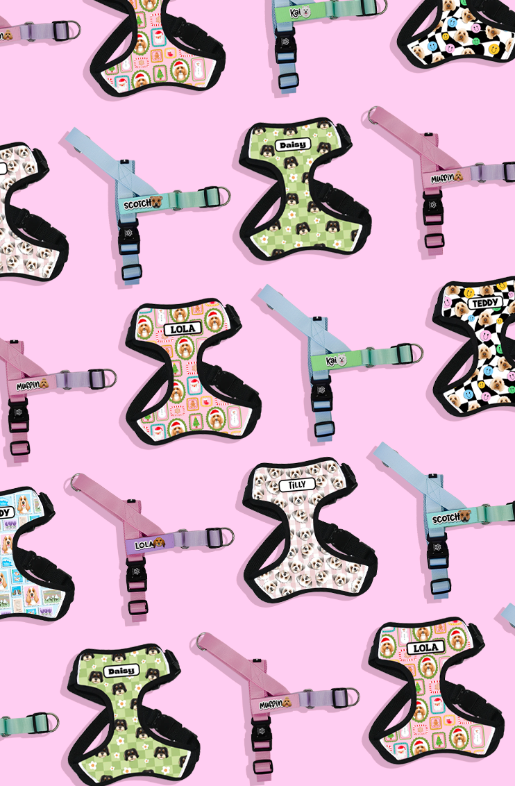 dog_harness_sale.png