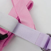 Personalised Dog Harness - No Pull