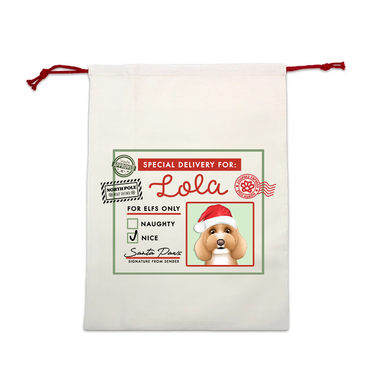 Personalised Santa Sack - Mail