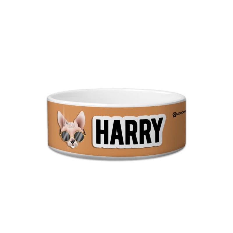Dog bowl with 'Harry' and a dog illustration on a brown background
