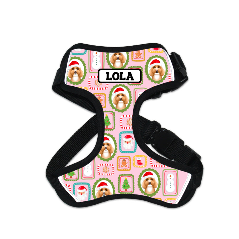 Dog Harness - Personalised Christmas Frames