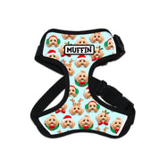 Dog Harness - Personalised Christmas Costumes