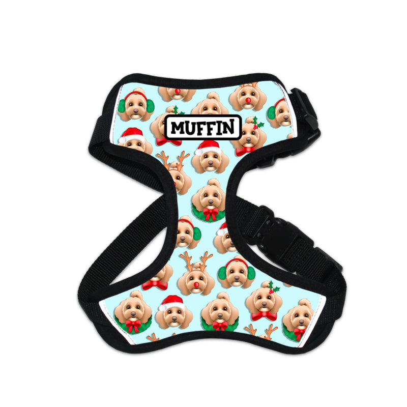 Dog Harness - Personalised Christmas Costumes