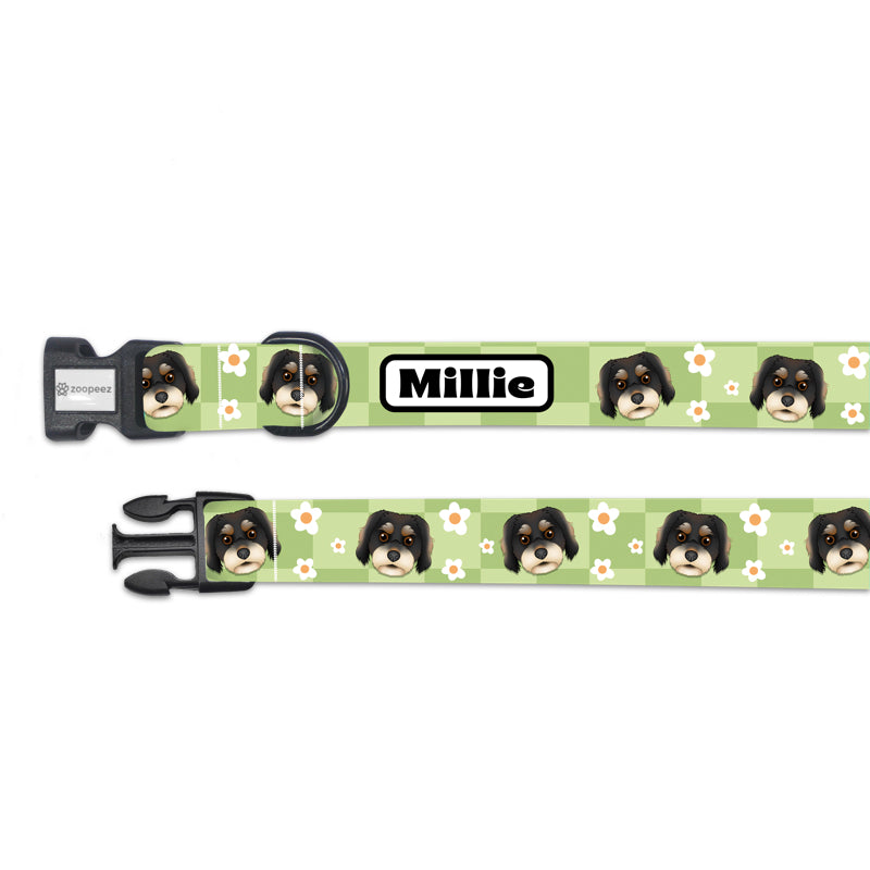 Flower Checker Dog Portrait Collar