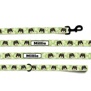 Flower Checker Dog Portrait Lead