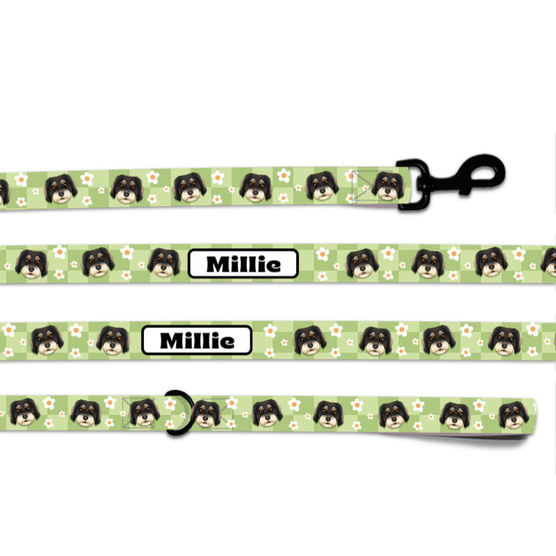Flower Checker Dog Portrait Lead