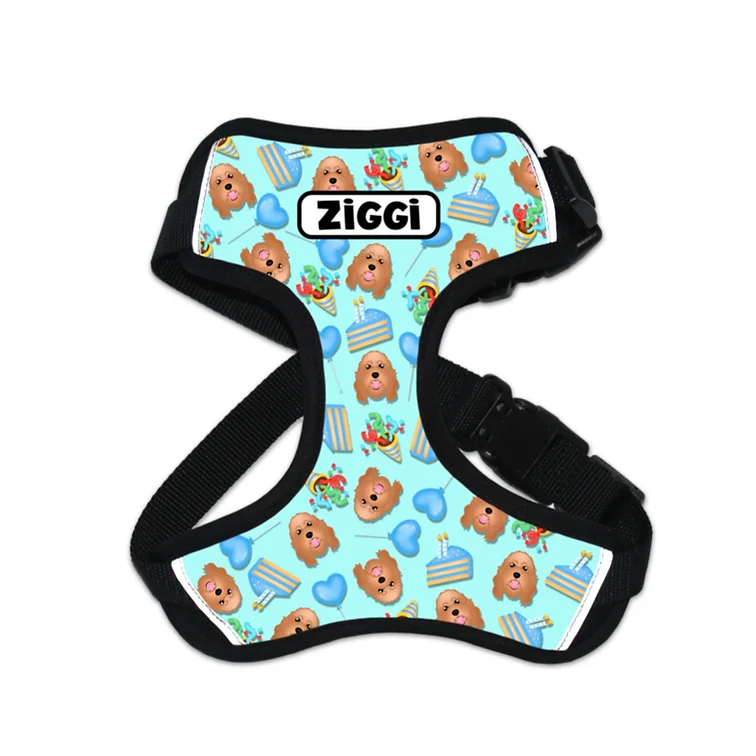Customised Birthday Dog Harness