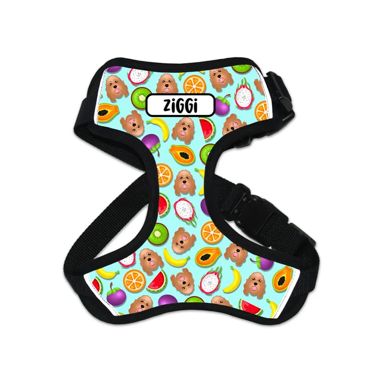 Customised Dog Harness