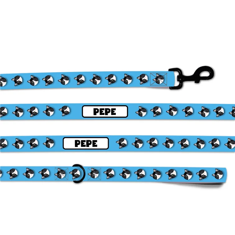 Personalised Cat Leash