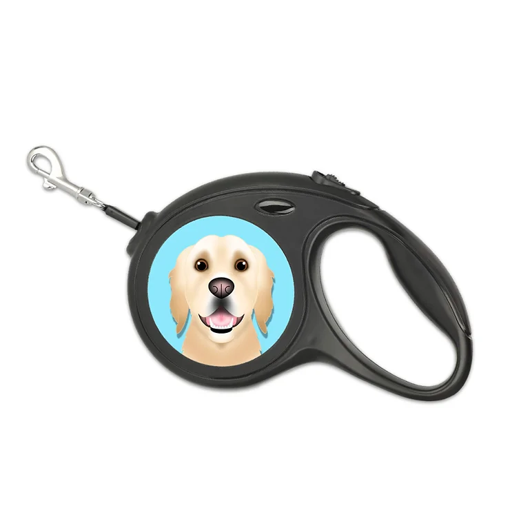 Personalised retractable dog deals lead